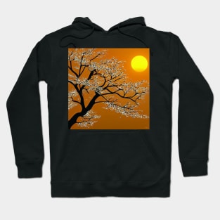 Attractive Sunset Hoodie